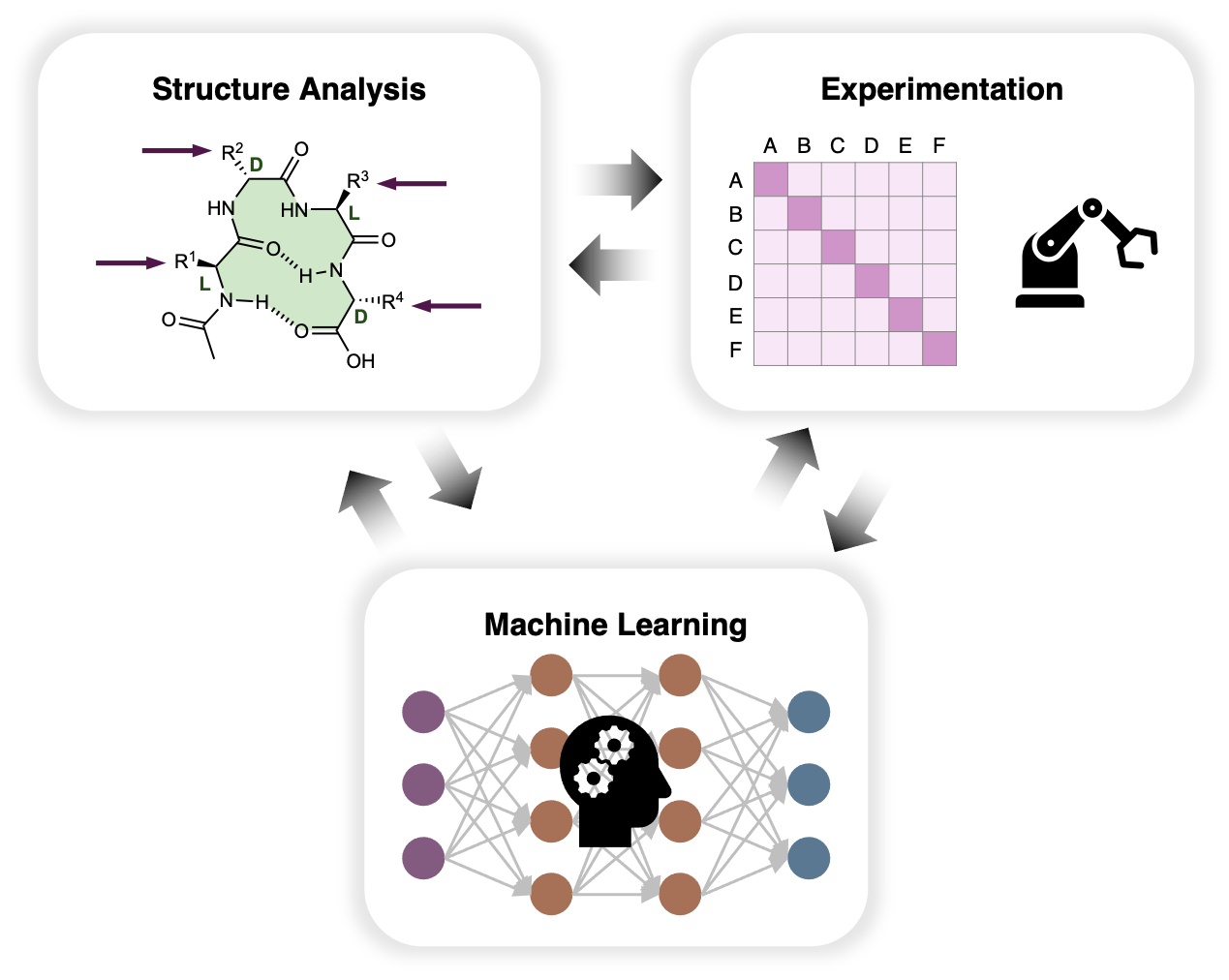 Research – Deng Lab